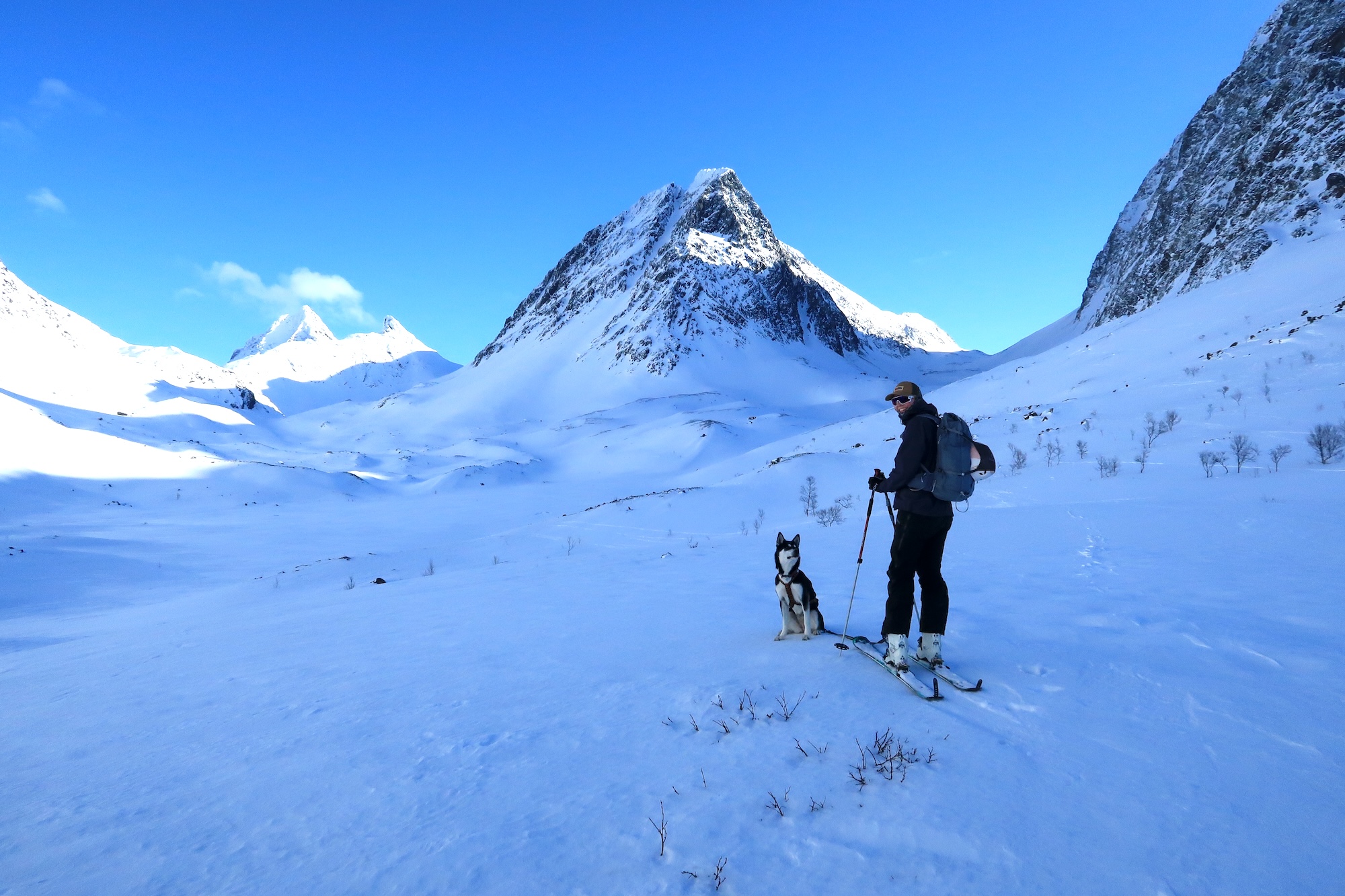 Ellendalen, skiløper på fjelltur med hund