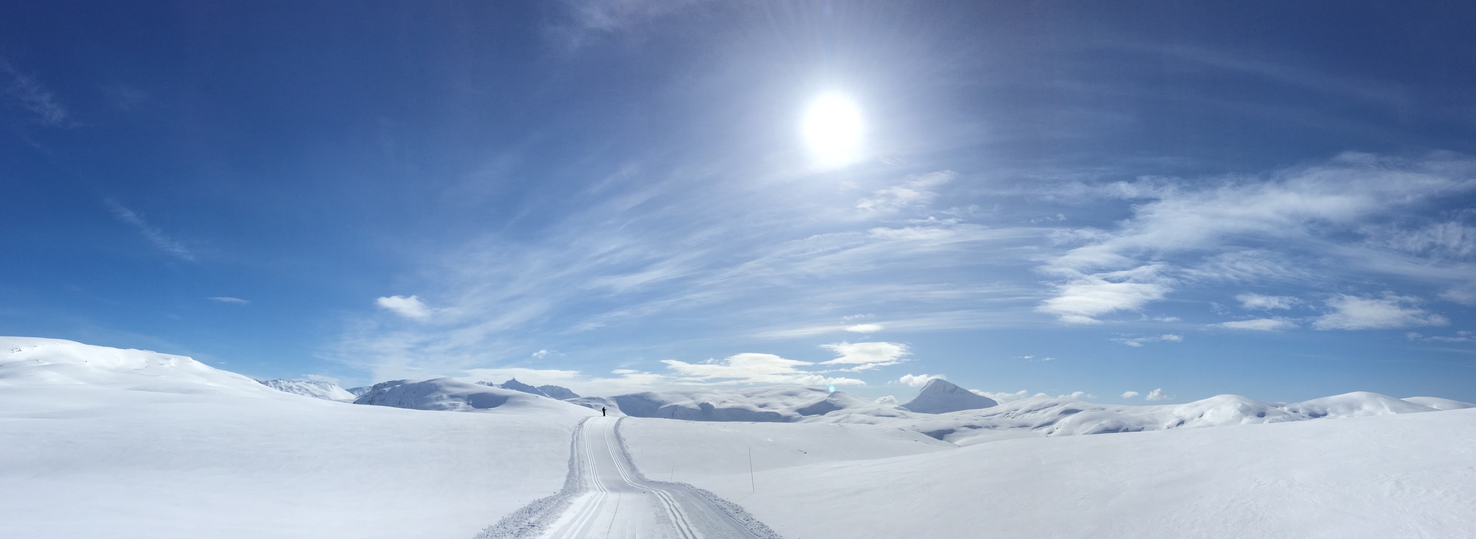 Skiløper på fjellet i strålende sol