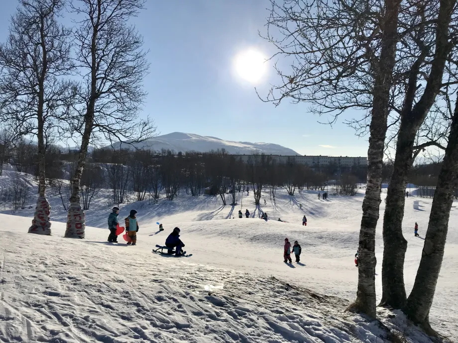 Barn som aker på Charlottenlund aktivitets- og friluftspark
