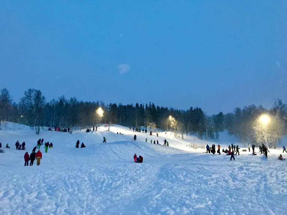 Mange titalls barn og voksne i vinterlek på Charlottenlund