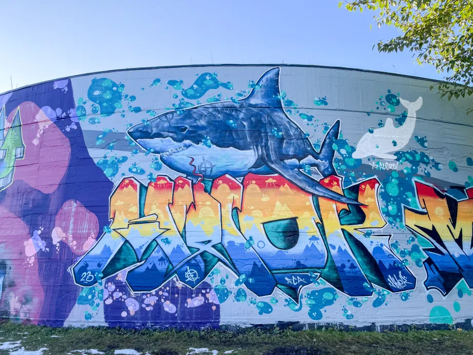 Forhåpningen trykkbasseng dekket av gatekunst