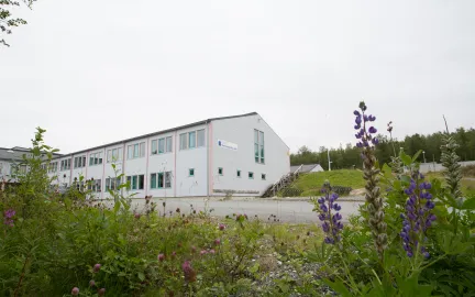 Workinnmarka skole sommer
