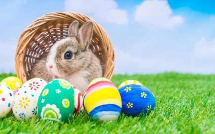 Påskekurv og hare