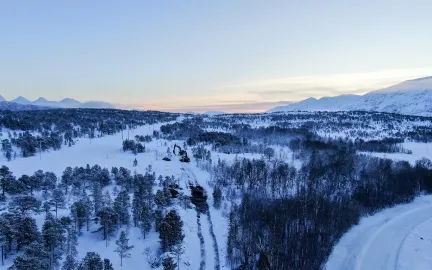 Gravemaskiner i skogen på Vikran