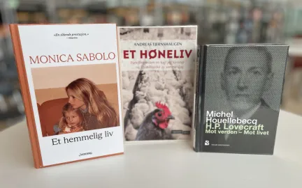 Under radaren, høns