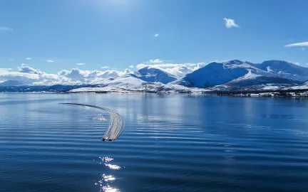 Dronefoto av forankrede sjøledninger som flyter på havoverflaten.