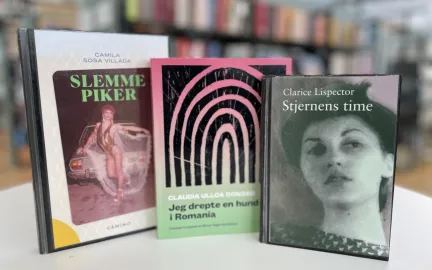 Les deg verden rundt, sørlige amerika 2