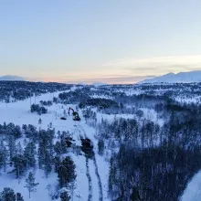 Gravemaskiner i skogen på Vikran