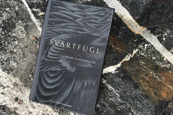 Romanen Svartfugl